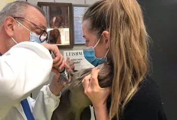 Medicina interna