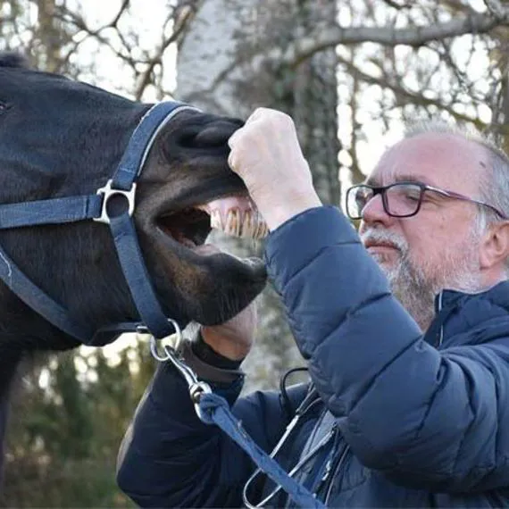 medicina_equina_san_martino_buon_albergo
