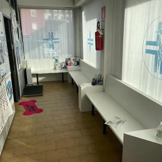 Ambulatorio_veterinario_Giacon_san_martino_buon_albergo