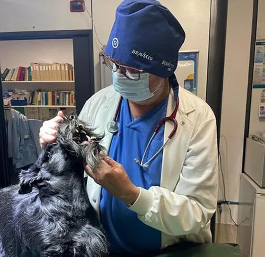 Ambulatorio veterinario a San Martino Buon Albergo
